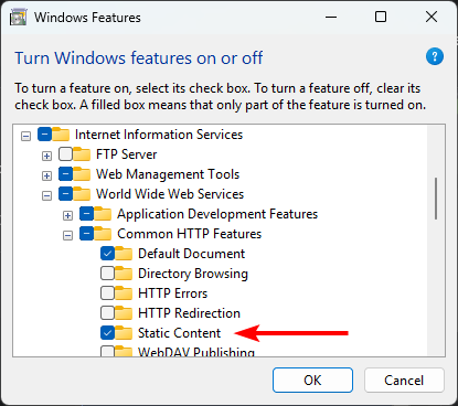 IIS-StaticContent.png