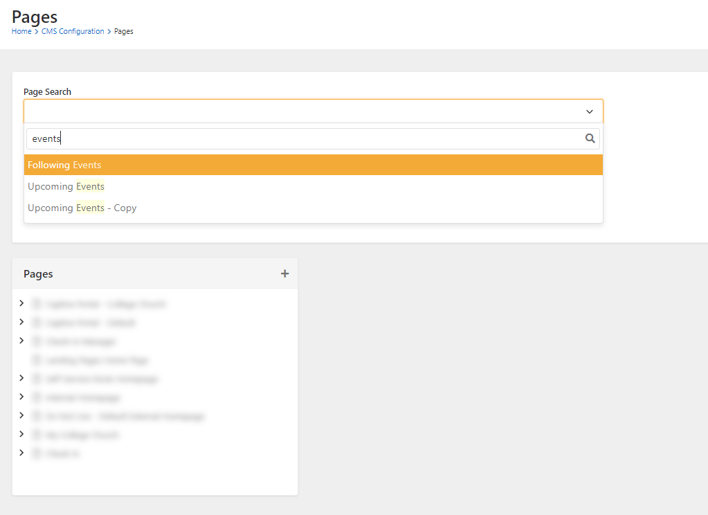 Page_Search_Example.png